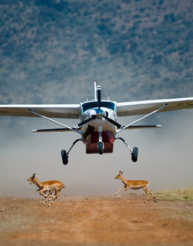 Small safari plane flying low