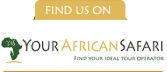 Your African Safari